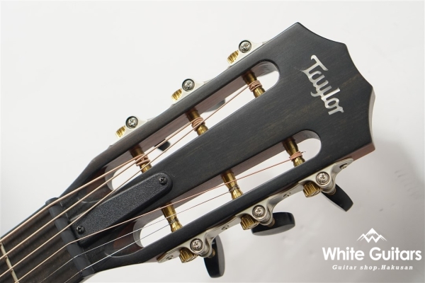 312ce 12Fret V-Class